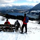 Thaler Höhe, Allgäu - Blick auf den Alpsee bei Immenstadt