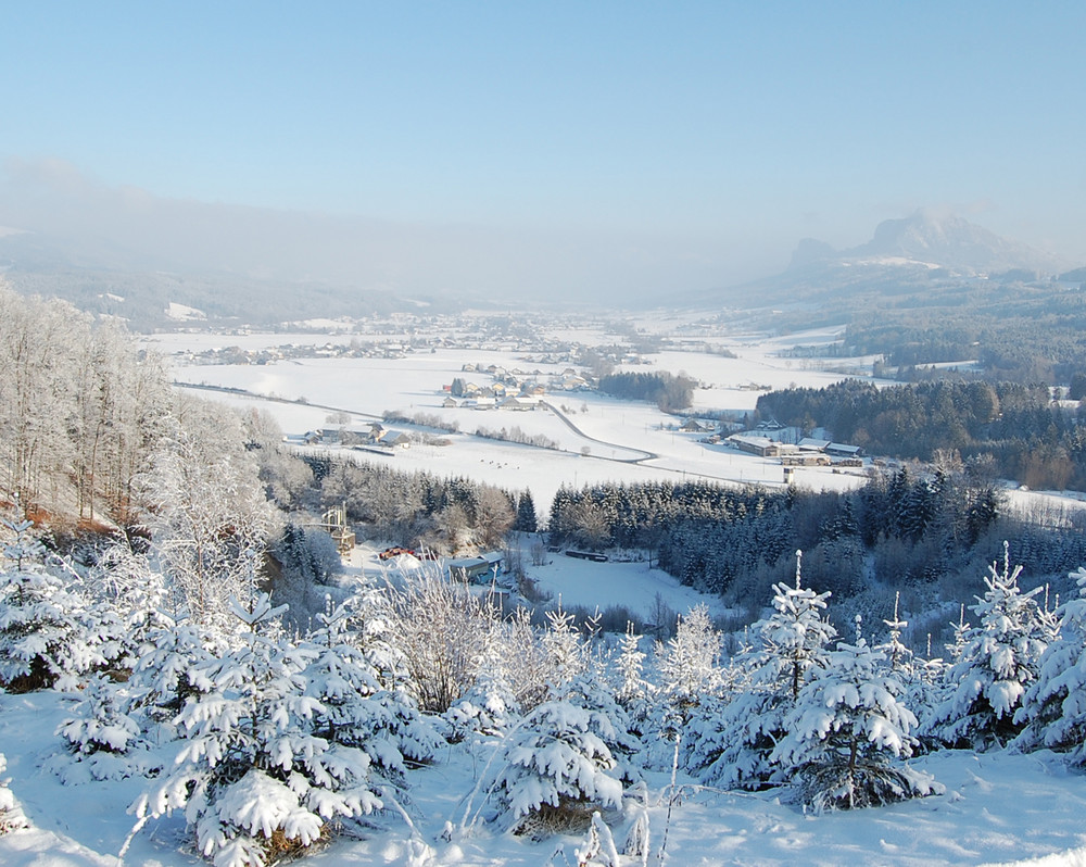 Thalgau, das Tor zum Salzkammergut, im Jänner 2009