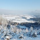 Thalgau, das Tor zum Salzkammergut, im Jänner 2009