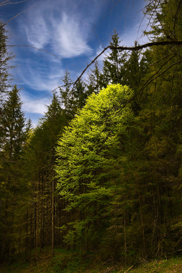 Thalhof, Semmering, Niederösterreich