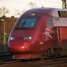 Thalys