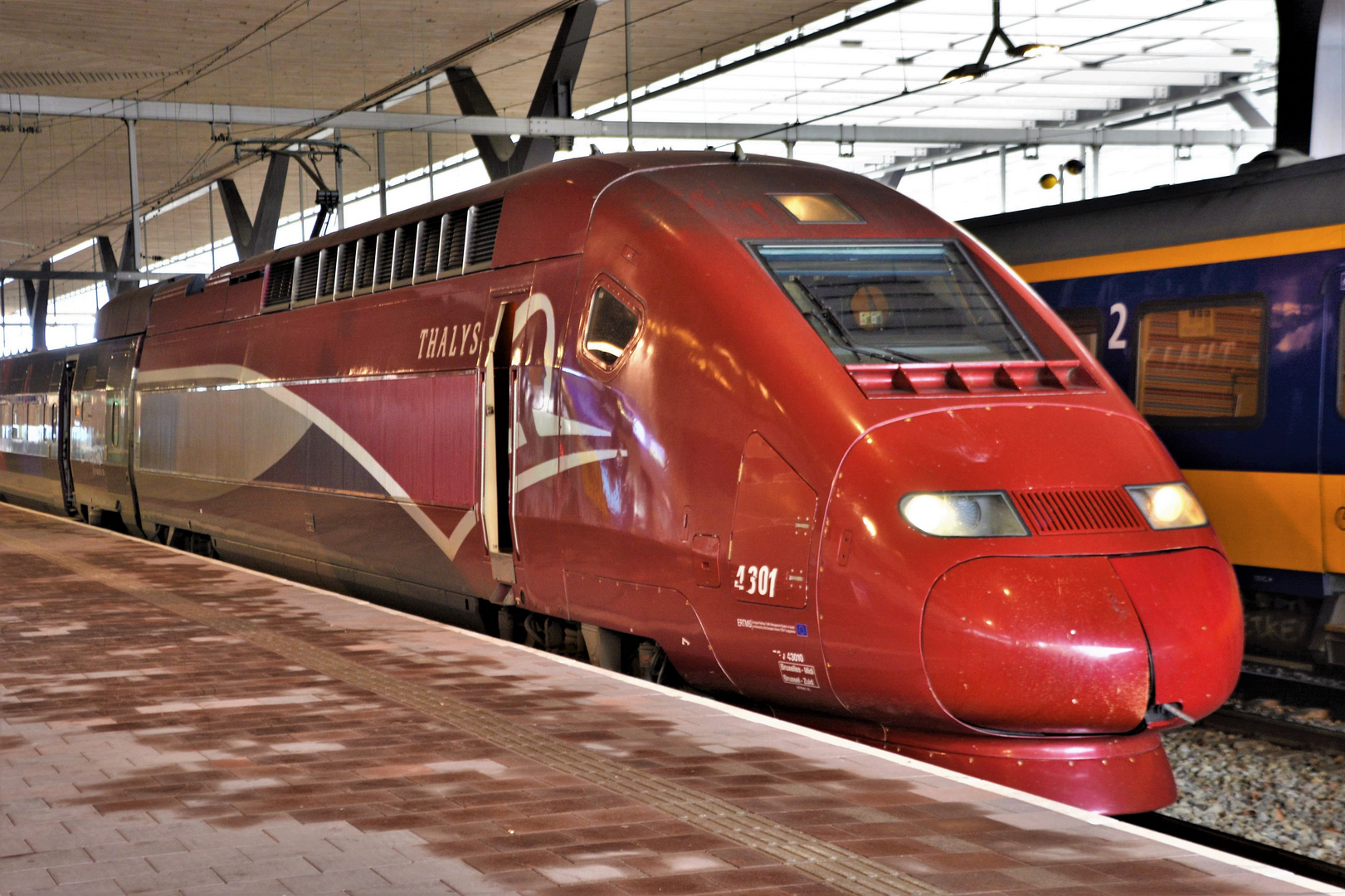 THALYS TGV in ROTTERDAM CENTRAAL