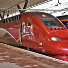 THALYS TGV in ROTTERDAM CENTRAAL