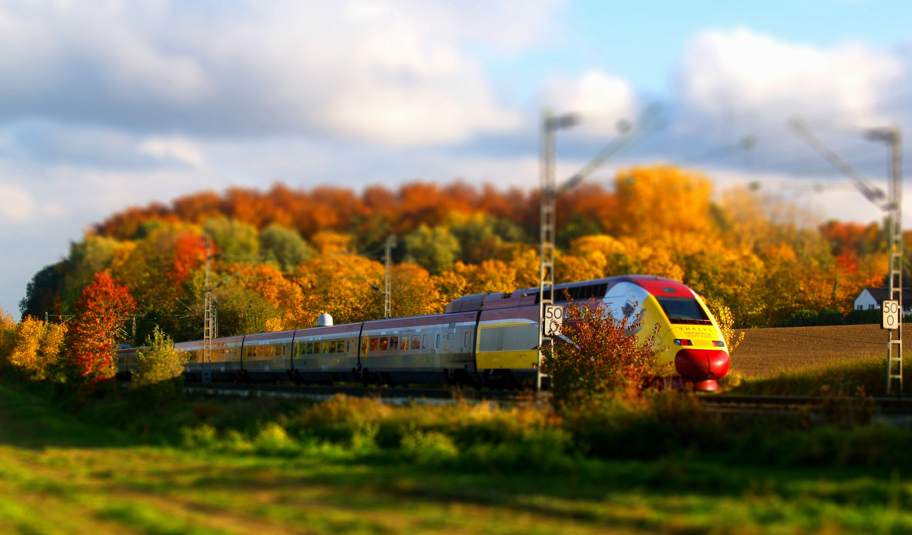 Thalys TinTin