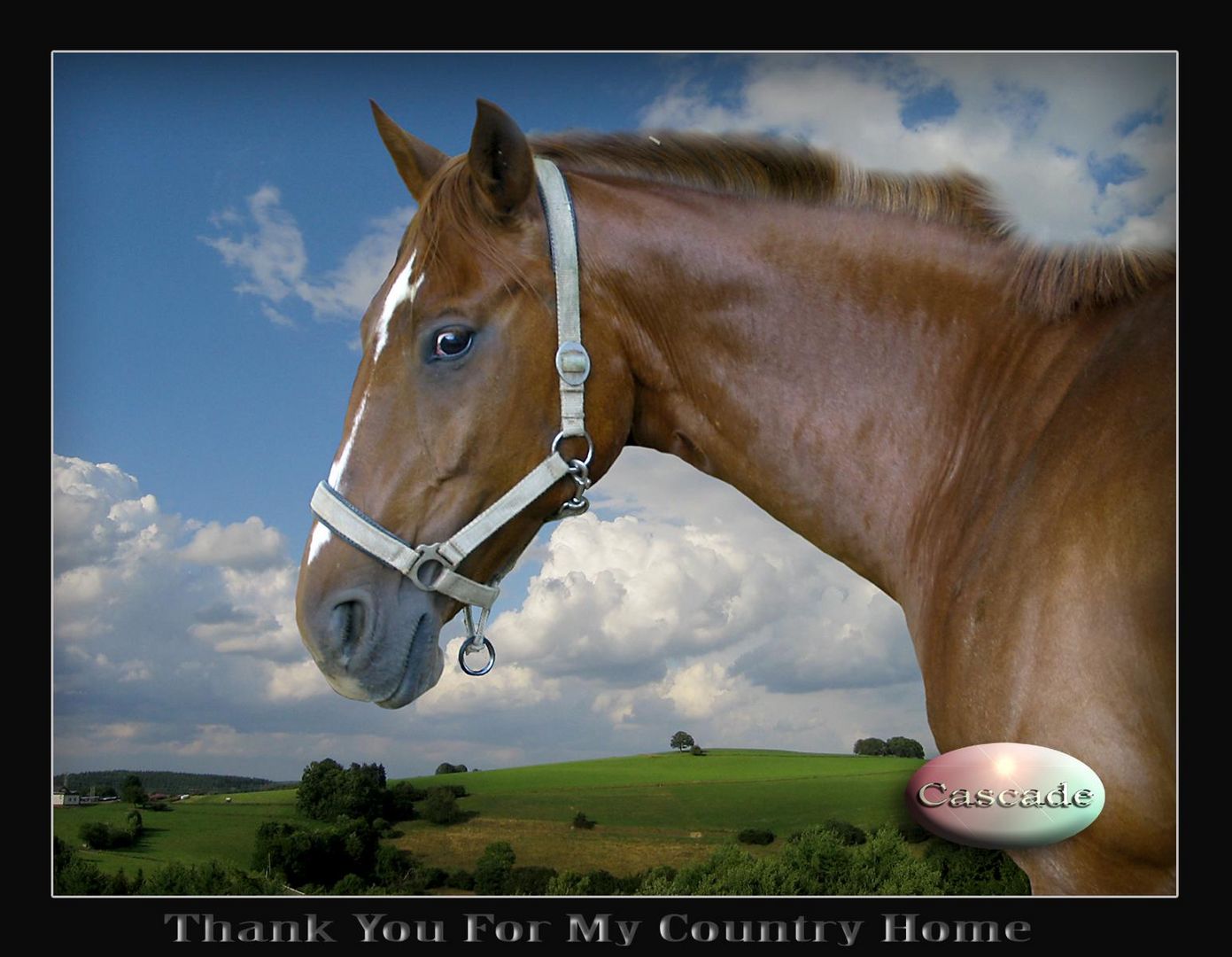 Thank You For My Countryhome