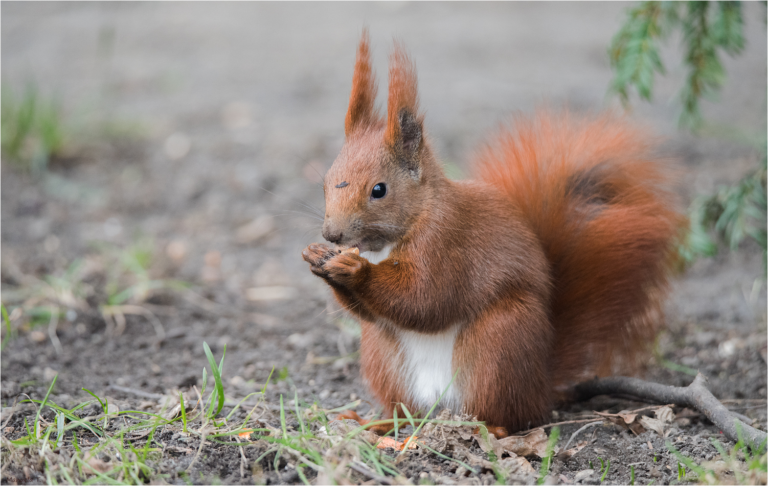 Thanks for the peanut