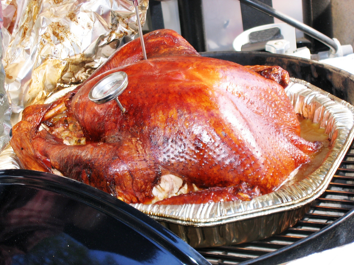 Thanksgiving Turkey