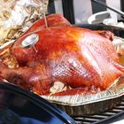 Thanksgiving Turkey