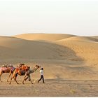 Thar Desert Camel Safari
