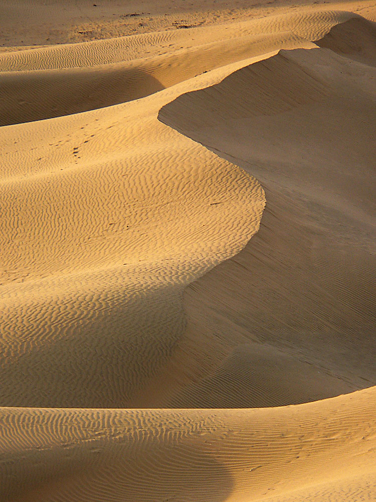 Thar Desert