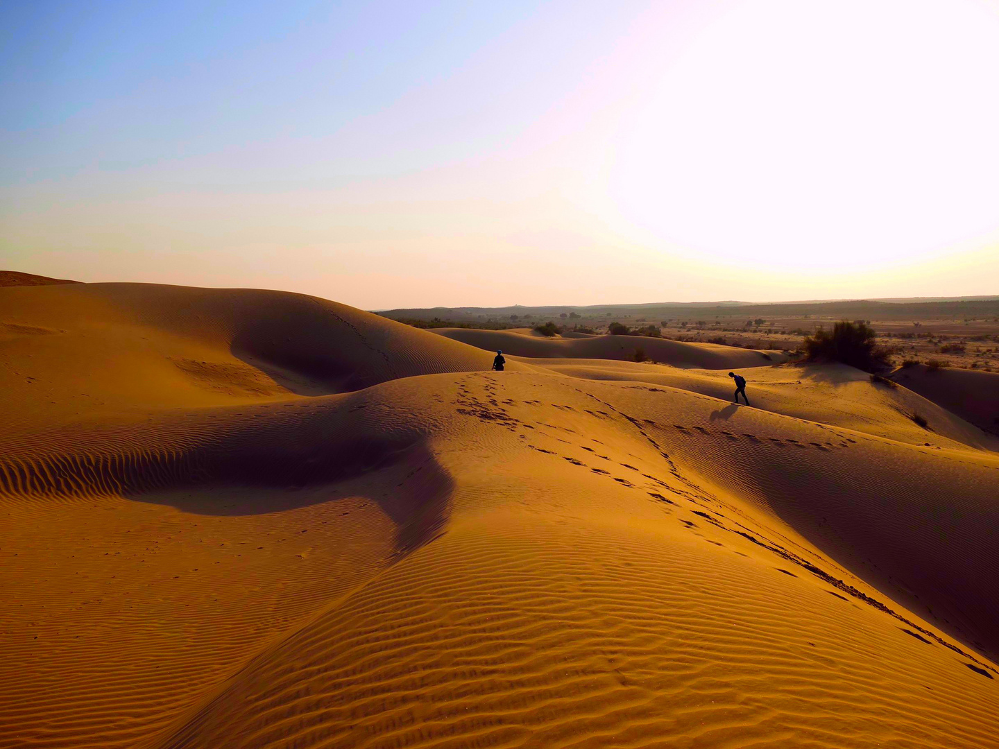 Thar Desert, India 