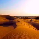Thar Desert, India 