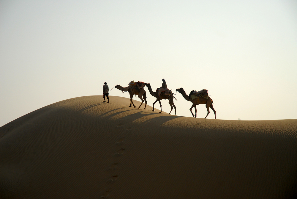 Thar in Rajastan / Indien