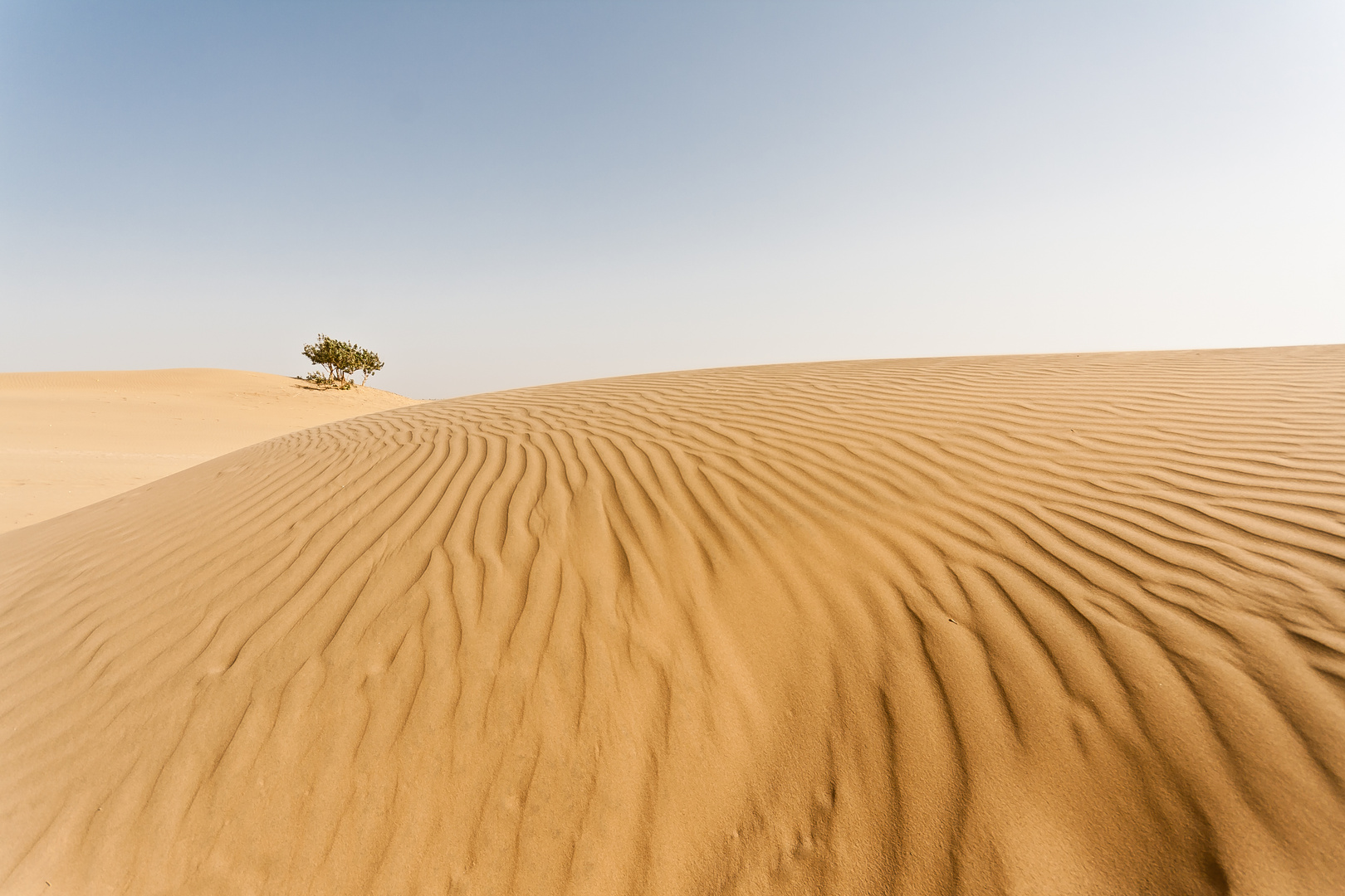 Thar Wuste Foto Bild Landschaft Wuste India Bilder Auf Fotocommunity