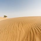 Thar Wüste