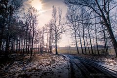 Tharandter_Wald-9