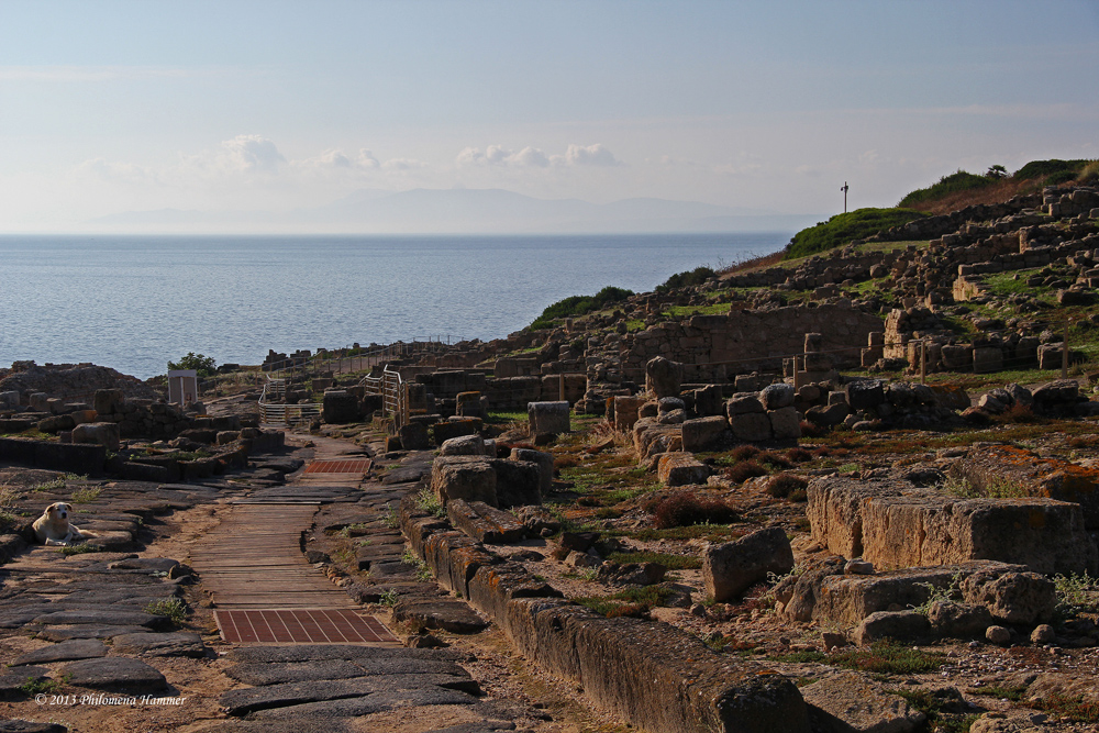 Tharros 1