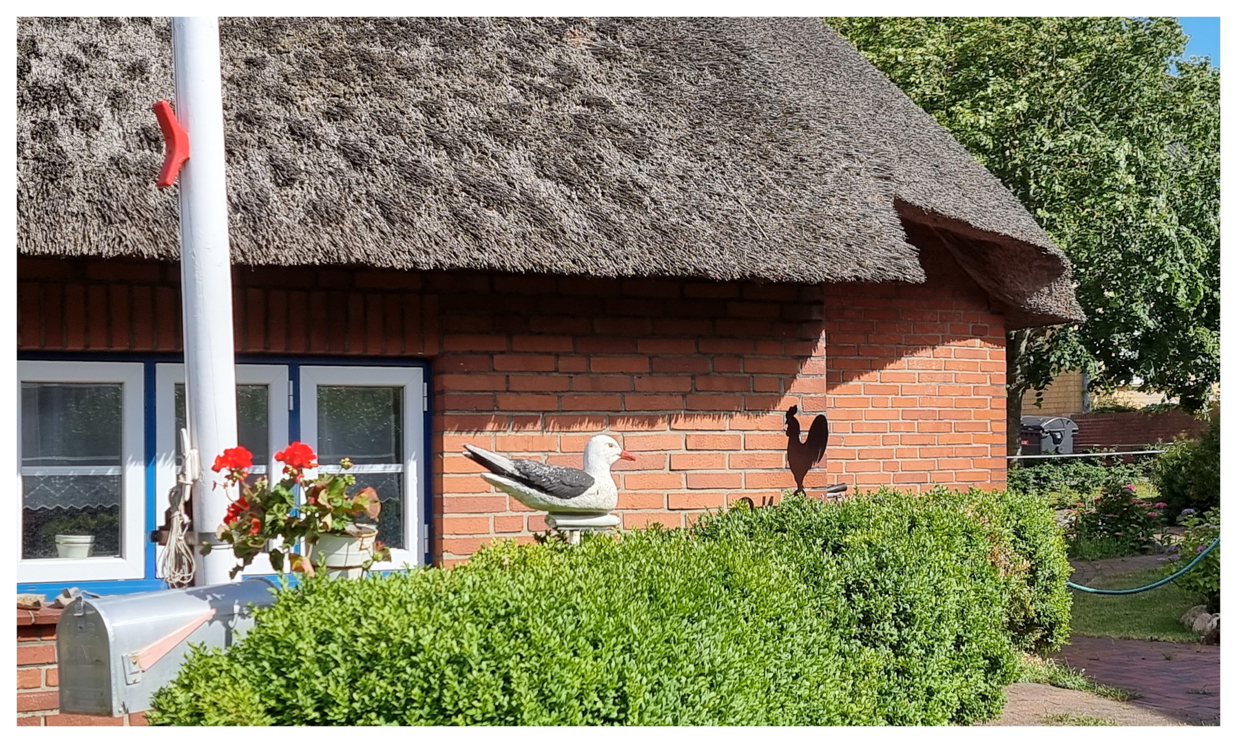 thatched house