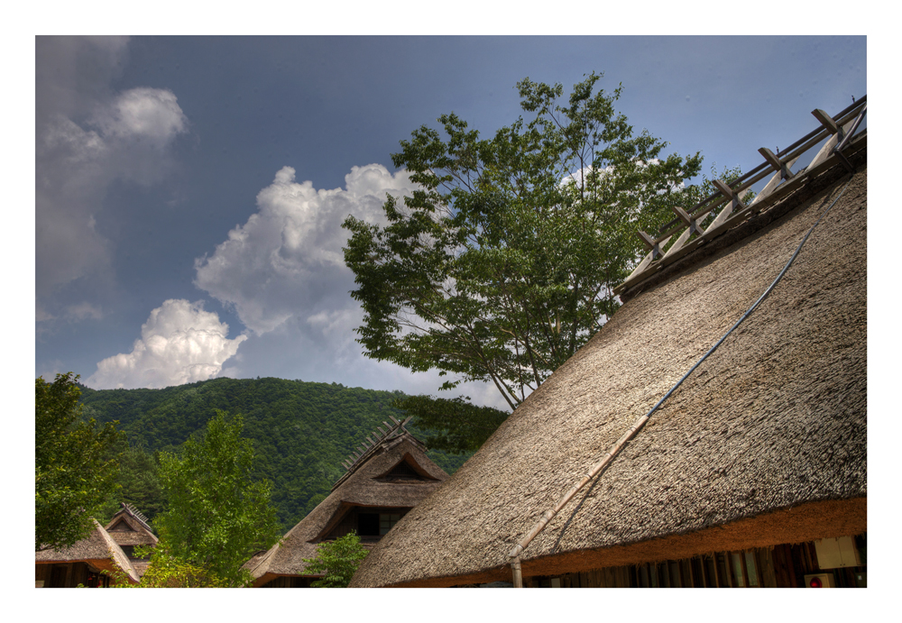 Thatched roof