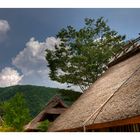 Thatched roof