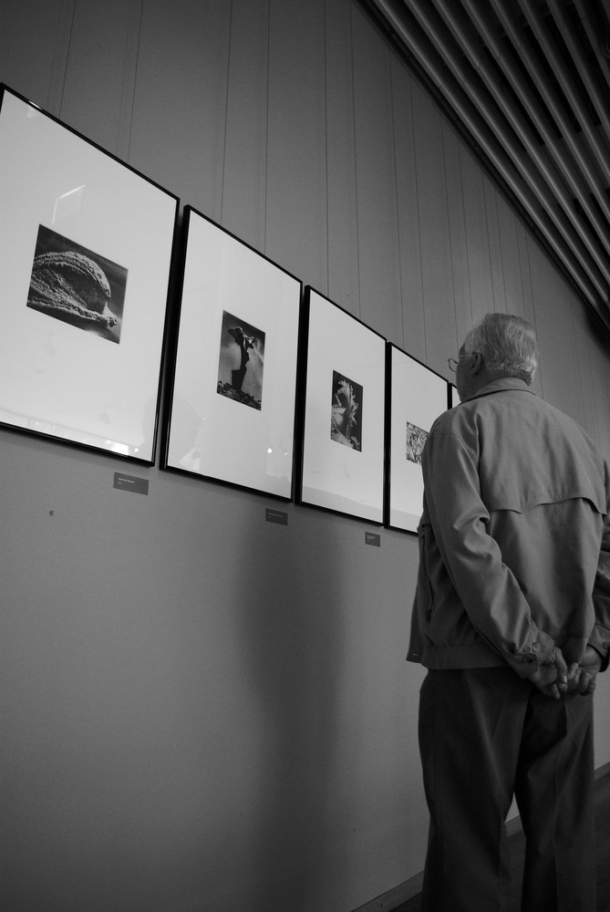 Thats Photografie Andreas Feiniger 4 (Focke Museum)