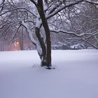 thaw at hamburg sunrise