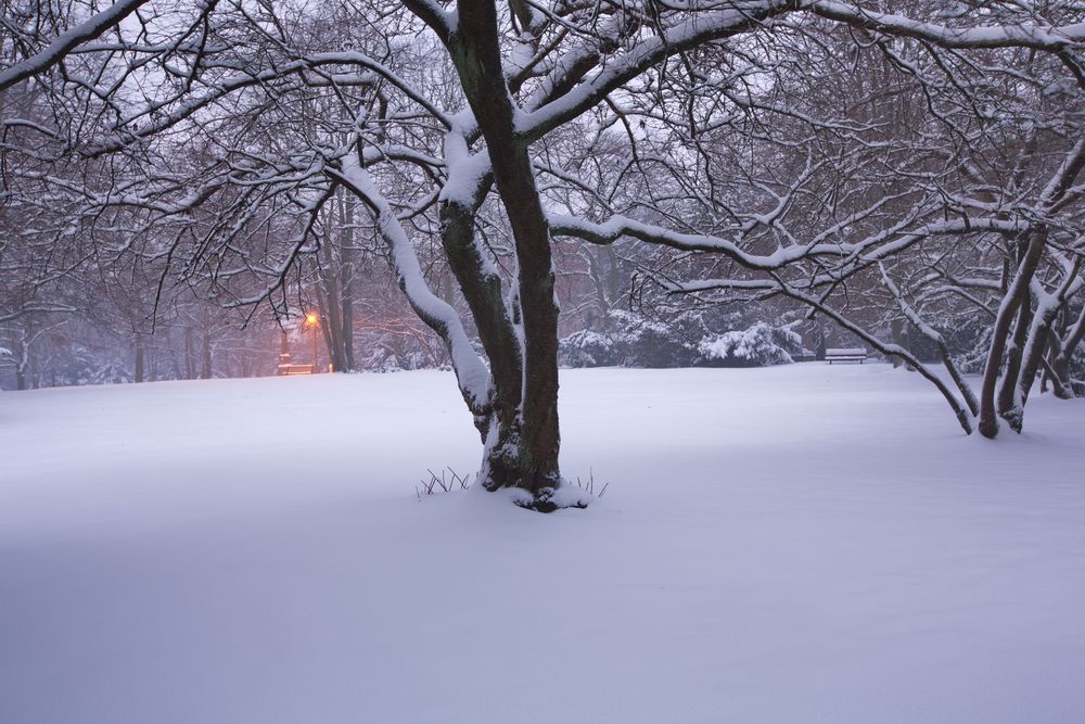 thaw at hamburg sunrise