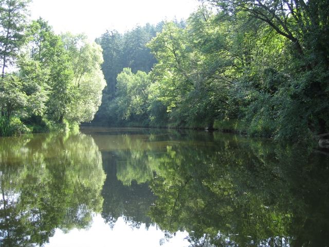 Thaya Mühlstau bei der Holzermühle