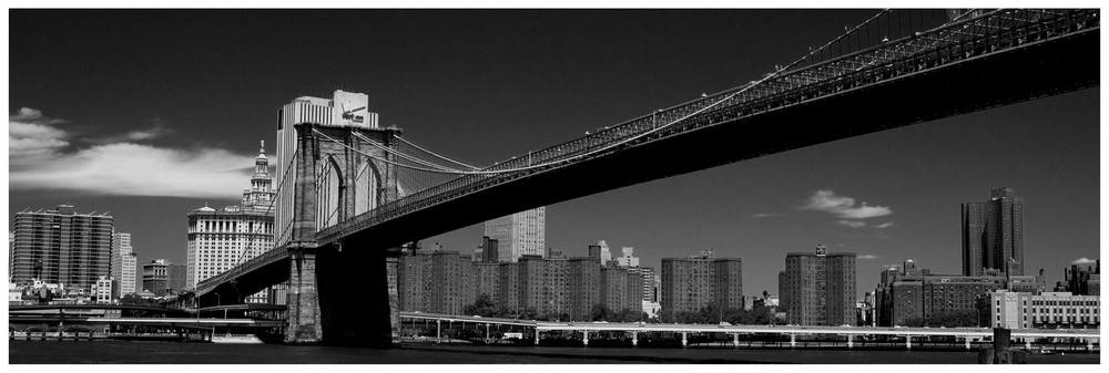 the 10th million view of Brooklyn's Bridge...