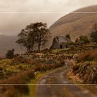 the abandoned cottage