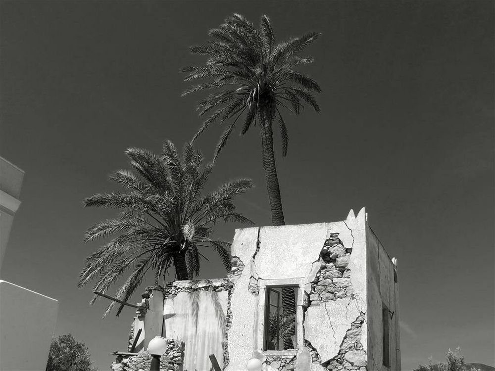 the abandoned home