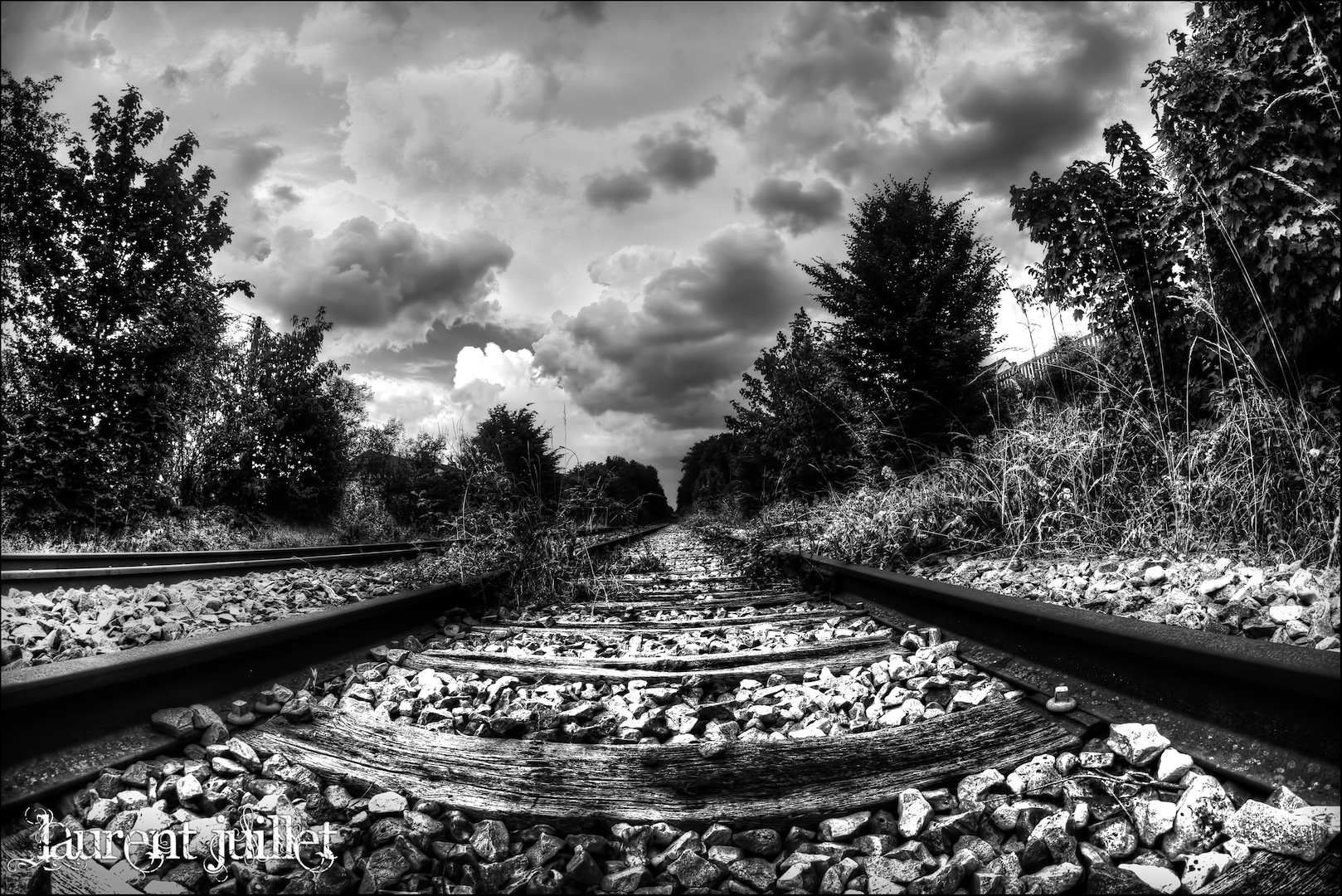 The Abandoned Railway