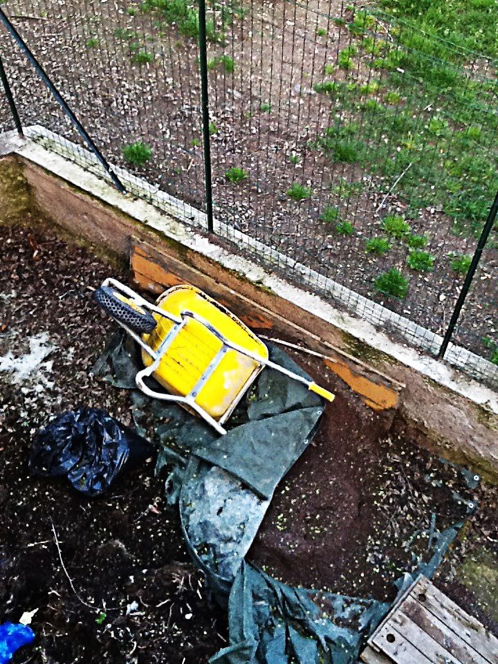 The abandoned yellow Wheelbarrow