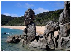 The Abel Tasman Rock !