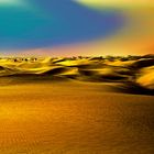 the abu dabi desert