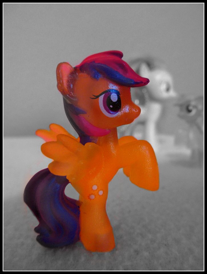 The acceptable pony.