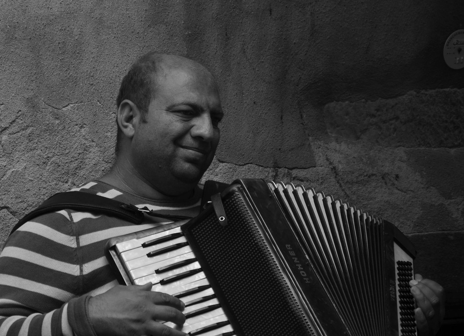 The accordion player