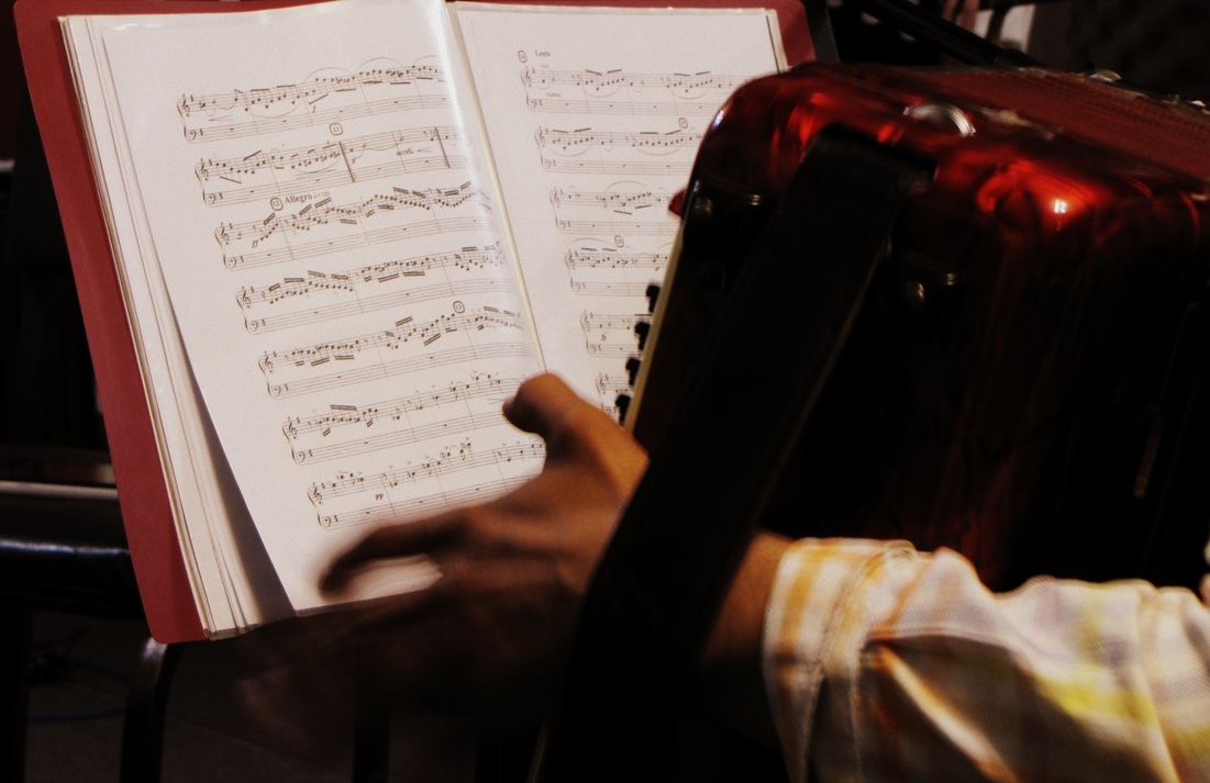 The Accordionist | Mehrdad Mehdi