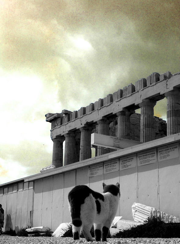 THE ACROPOLIS´BOSS