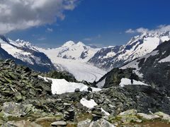 The Aletsch Glacier in b/w