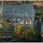 the allotments in winter 7