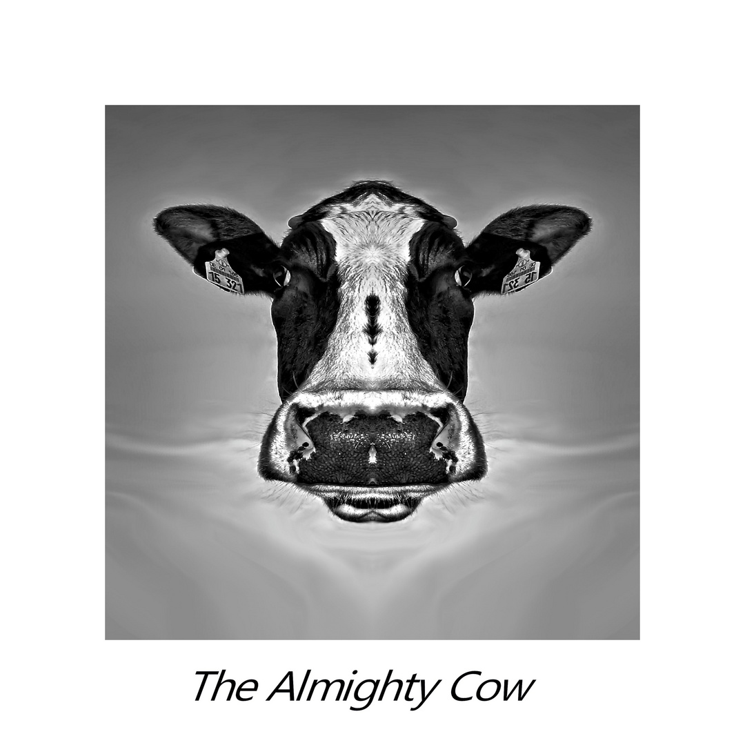 The Almighty Cow