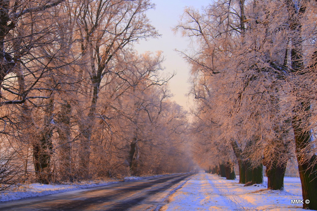 The amber avenue...