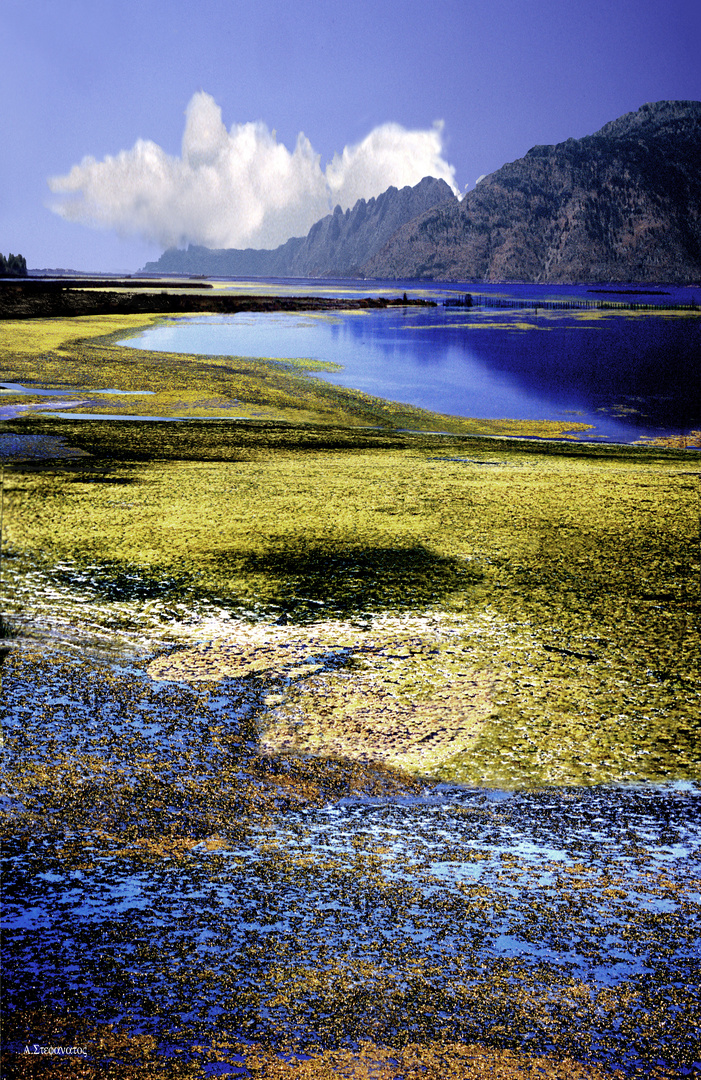 The  Ambracian  marshes