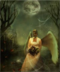 THE ANGEL OF DREAMS