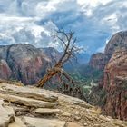 The Angel's Landing