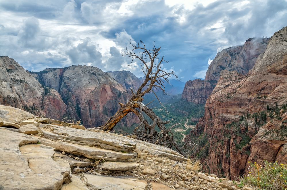 The Angel's Landing