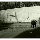 The Animals In War Memorial