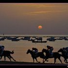 the Annual Horse Races ~ Sanlucar de Barrameda (Cadiz)