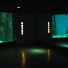 the aquarium